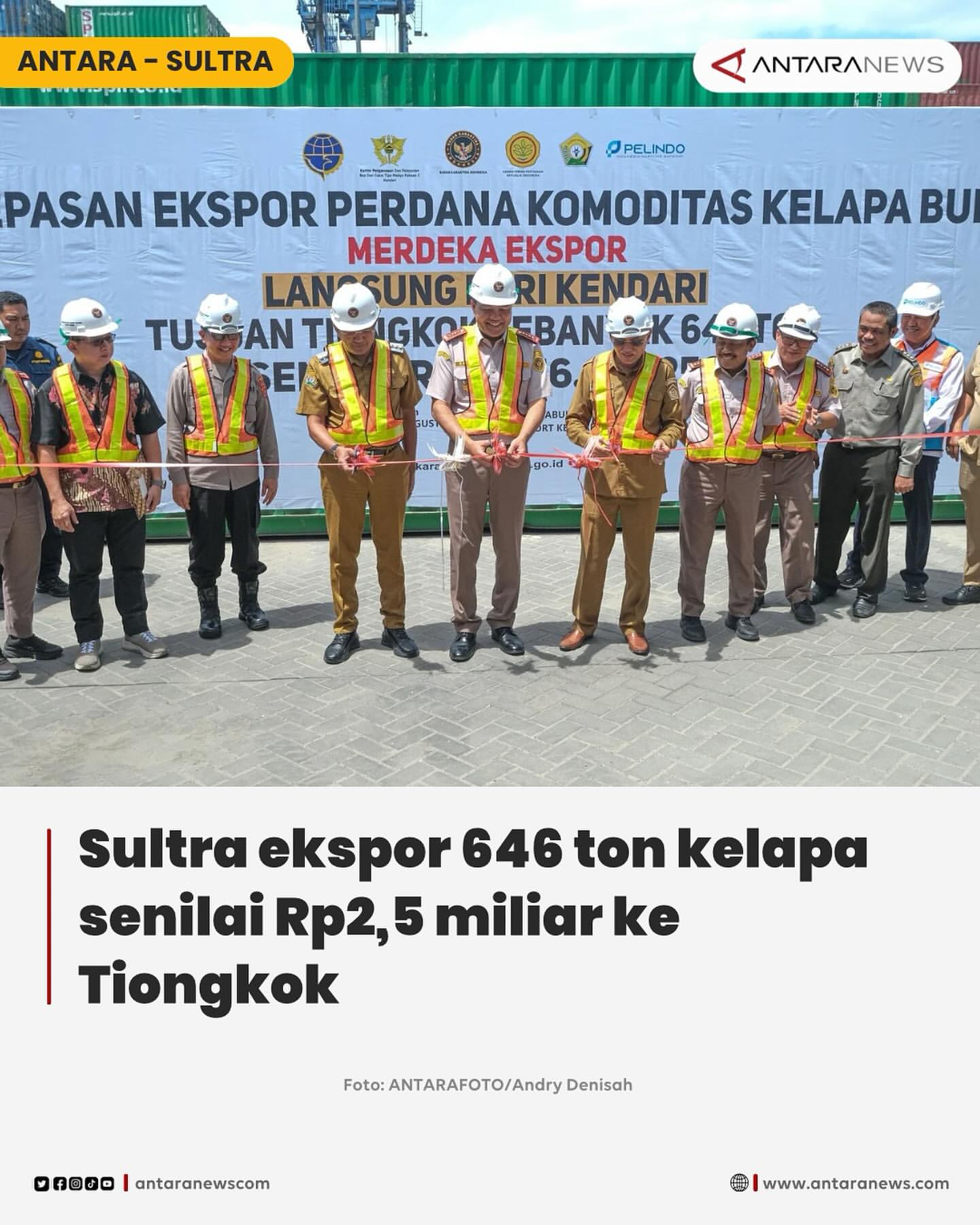 Provinsi Sulawesi Tenggara Ekspor 646 Ton Kelapa ke Tiongkok