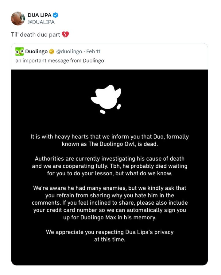 Duolingo Berduka atas Kematian Maskot Mereka