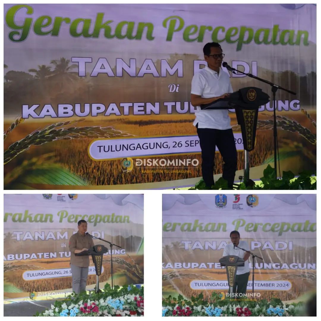 Gerakan Tanam Padi di Tulungagung: Meningkatkan Produksi Pertanian