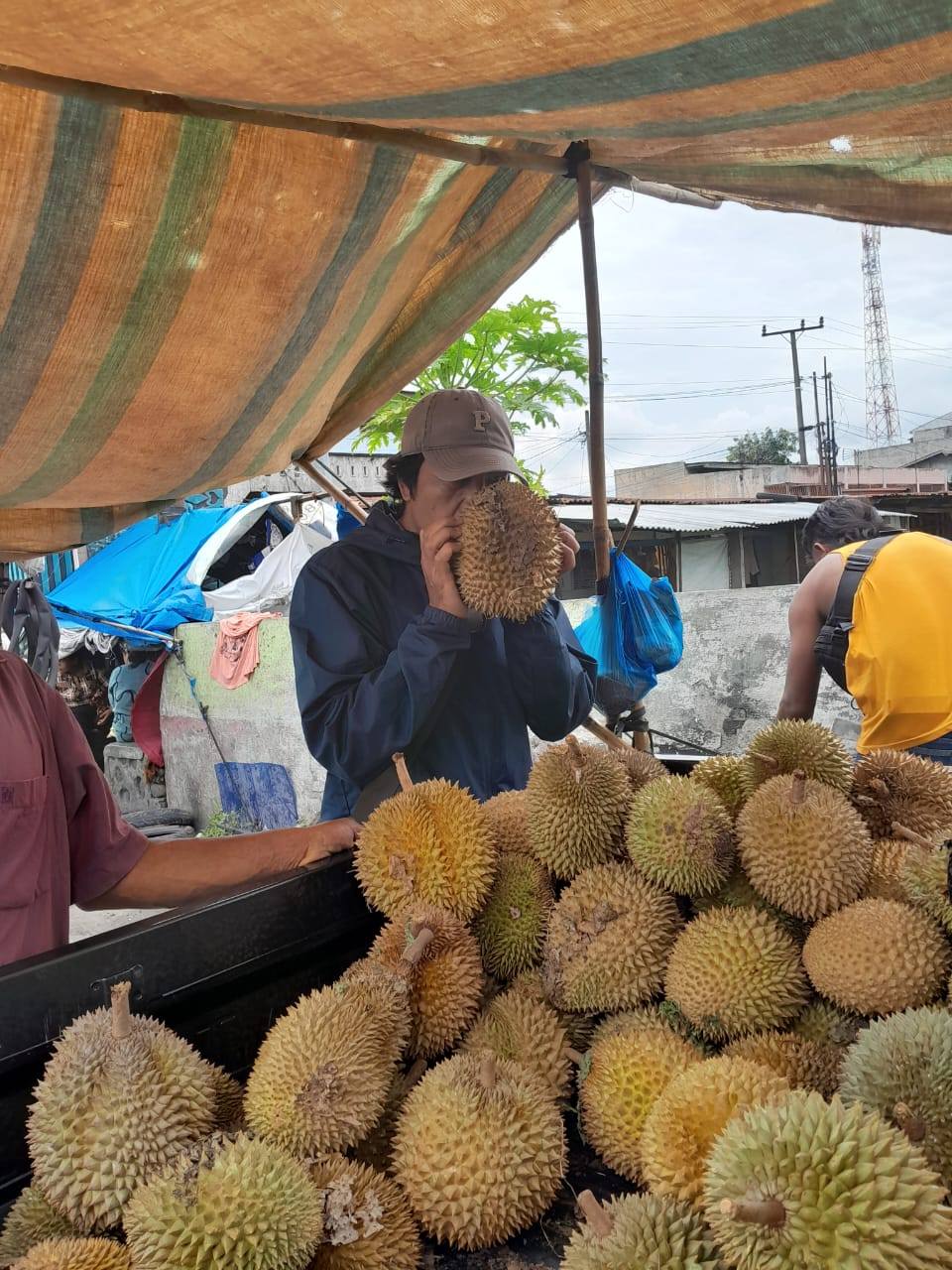 Perubahan Rasa Durian di Sumatera: Kenapa Buah Legendaris Ini Mulai Menghilang