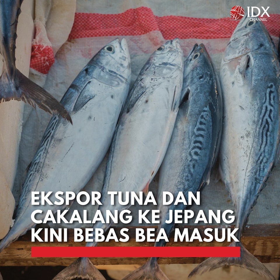 Ekspor Ikan Tuna dan Cakalang ke Jepang Kini Bebas Bea Masuk