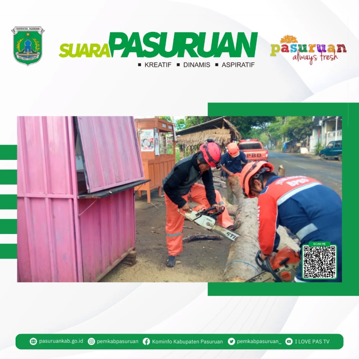 Peringatan BPBD Pasuruan: Waspada Pohon Tumbang Saat Musim Hujan