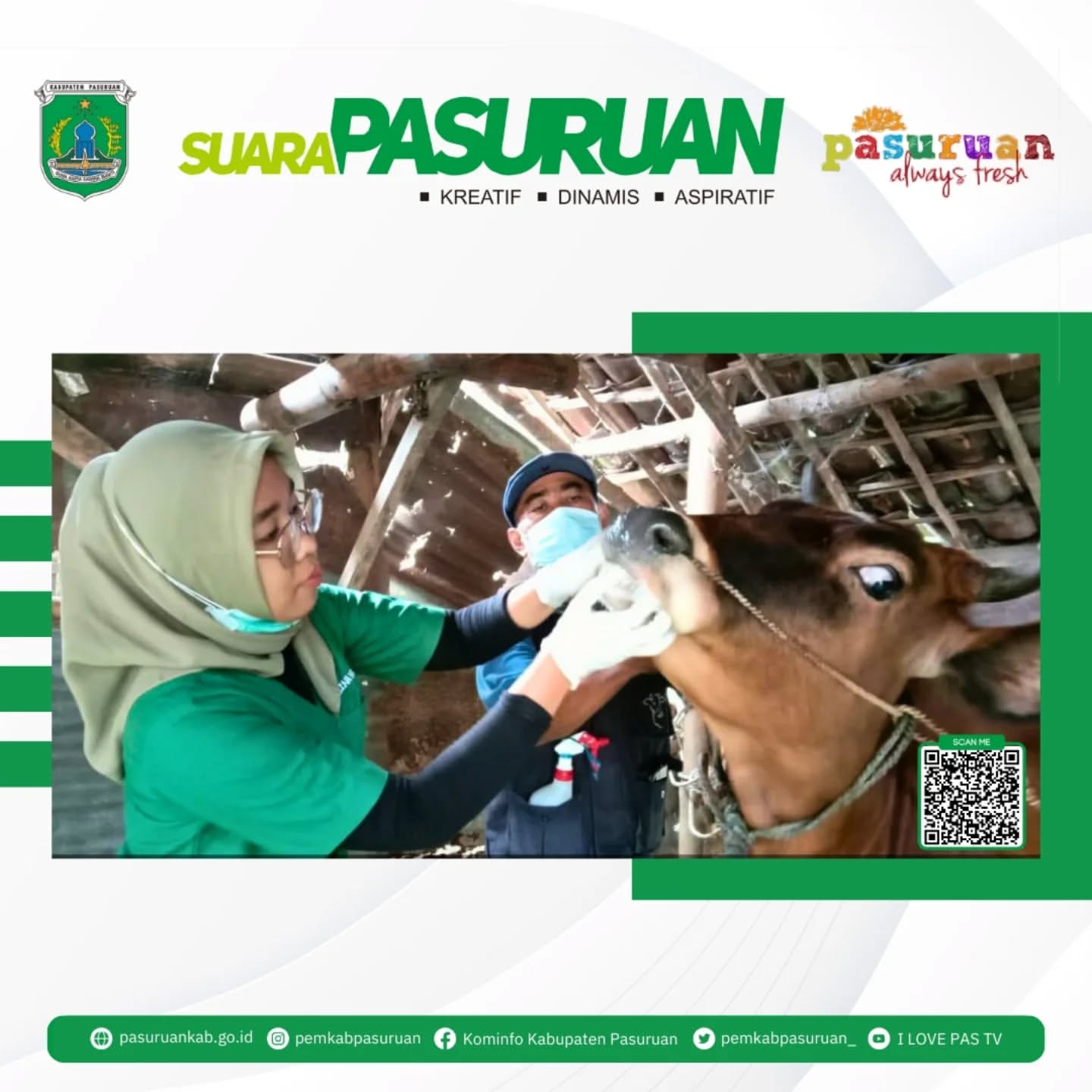 Kasus Penyakit Mulut dan Kuku (PMK) di Pasuruan Masih Tinggi