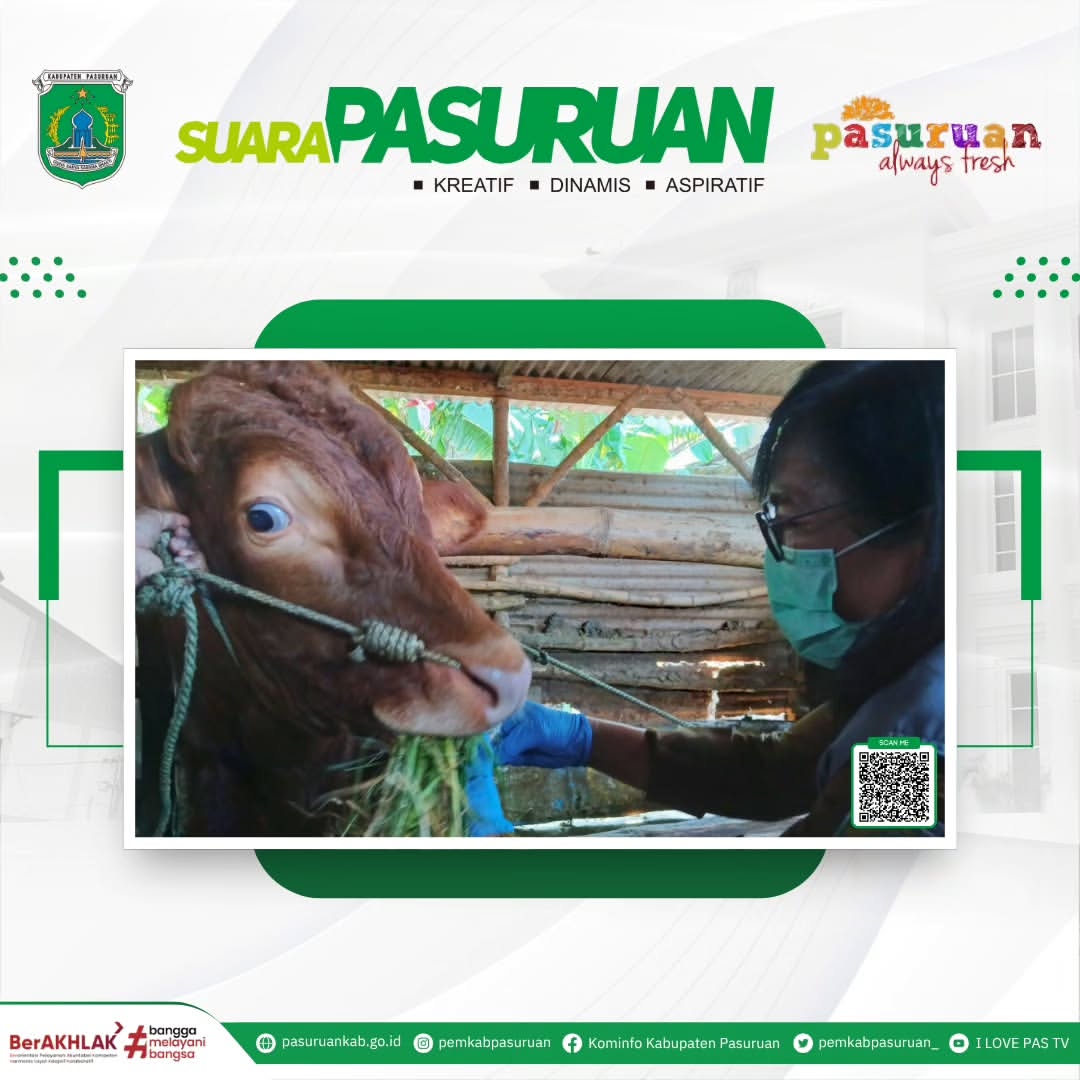 Pemeriksaan Kesehatan Hewan Kurban oleh Dinas Peternakan Pasuruan