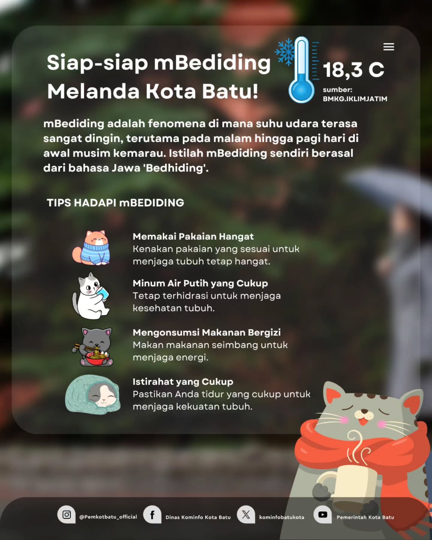 Fenomena mBediding Menyapa Kota Batu dengan Suhu Dingin