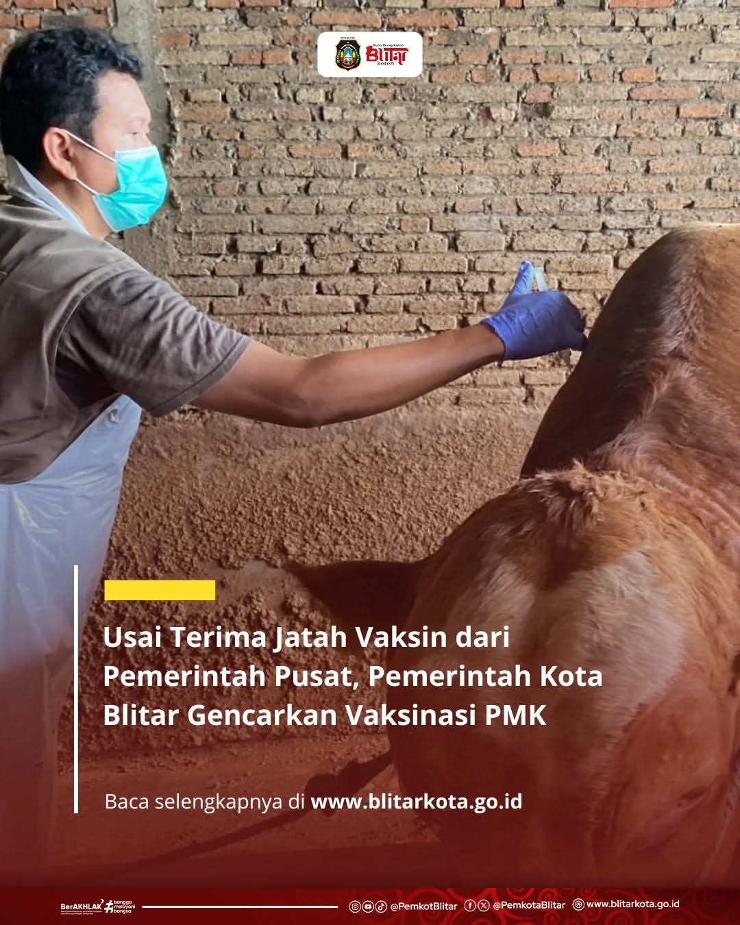 Pemerintah Kota Blitar Lakukan Vaksinasi Penyakit Mulut dan Kuku untuk Sapi