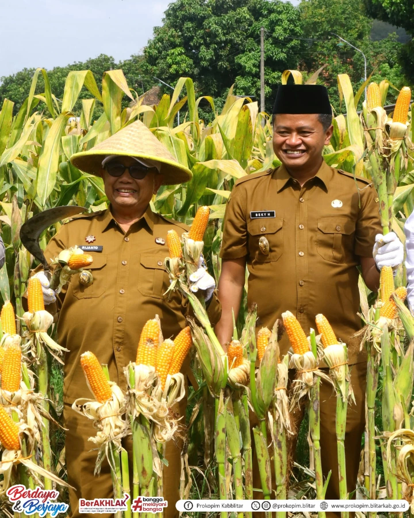 Geliat Pertanian di Blitar: Bupati dan Wakil Bupati Panen Jagung untuk Dukung Ketahanan Pangan