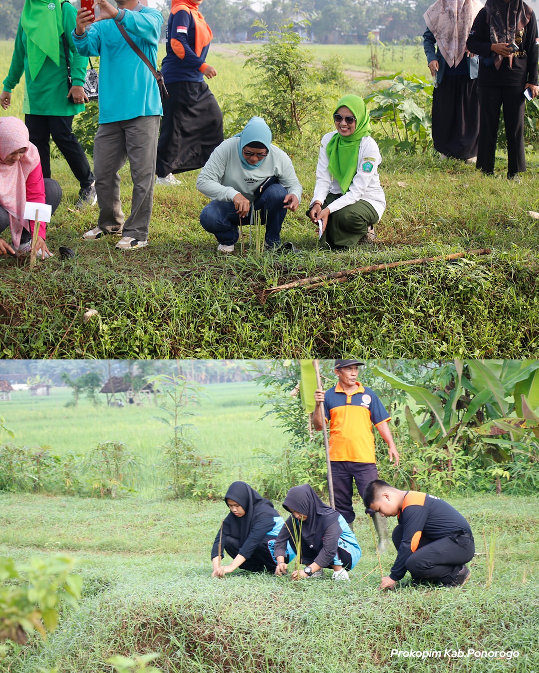 Pentingnya Penanaman Rumput Vetiver untuk Lingkungan di Ponorogo