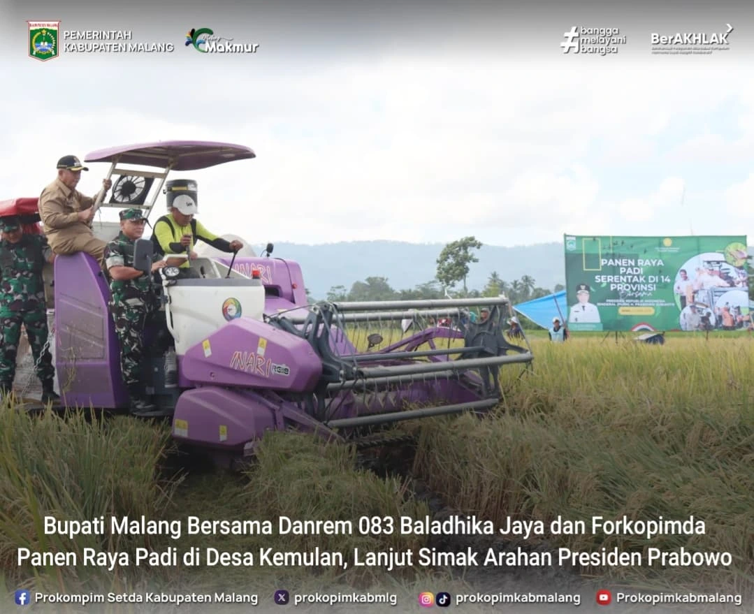 Panen Raya Padi di Kabupaten Malang Dihadiri Bupati dan Danrem