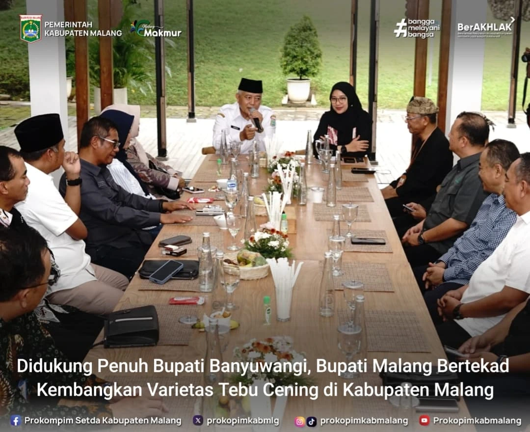 Pengembangan Varietas Tebu Cening di Kabupaten Malang