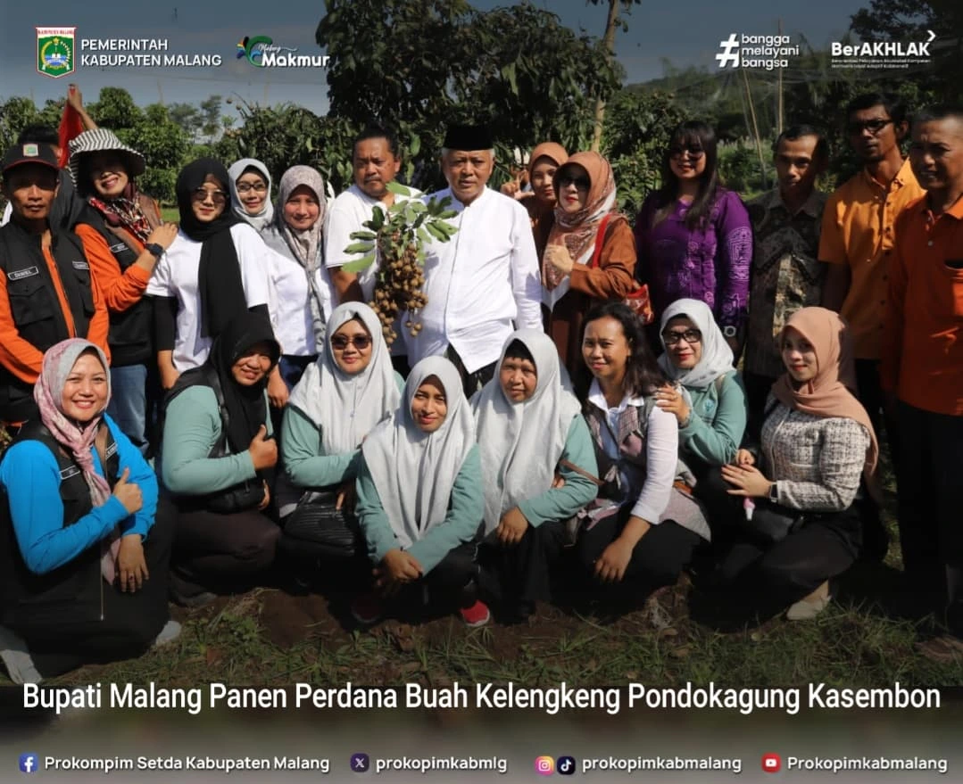 Bupati Malang Panen Perdana Buah Kelengkeng di Kasembon