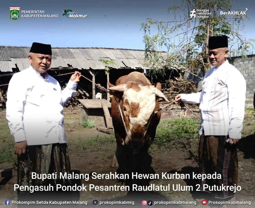 Pemerintah Kabupaten Malang Serahkan Bantuan Hewan Kurban Menjelang Idul Adha