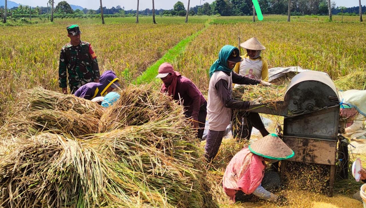 Petani Bertanya, Kampus Menjawab: Peran Penting Universitas dalam Mengatasi Krisis Tanah Produktif
