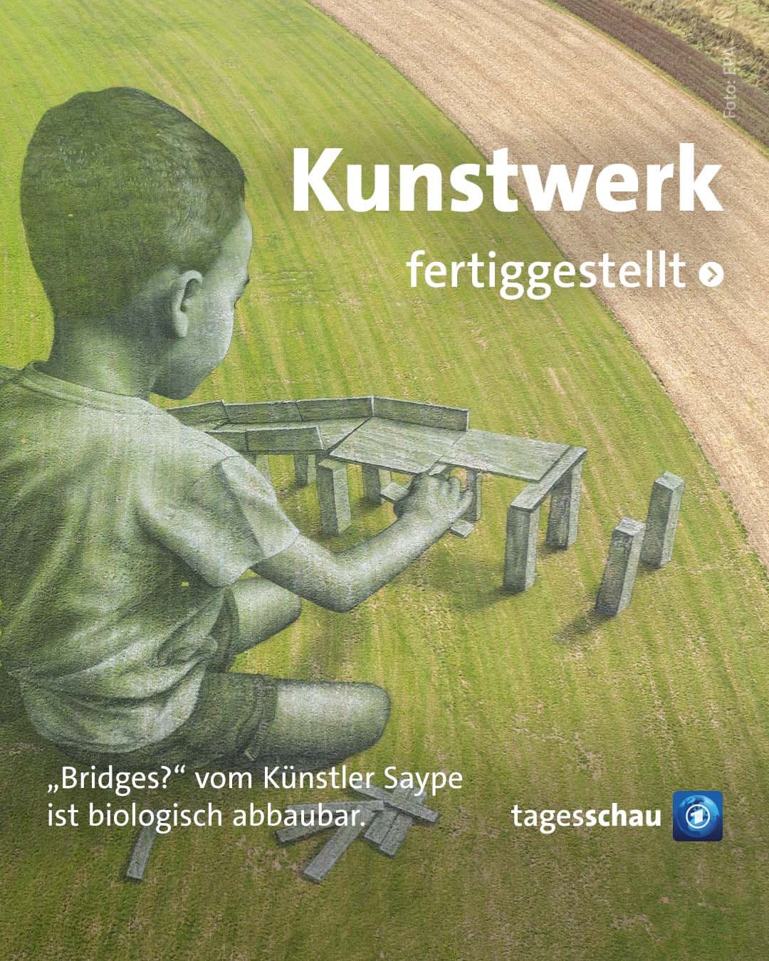 Karya Seni Raksasa Saype di Freiburg, Swiss