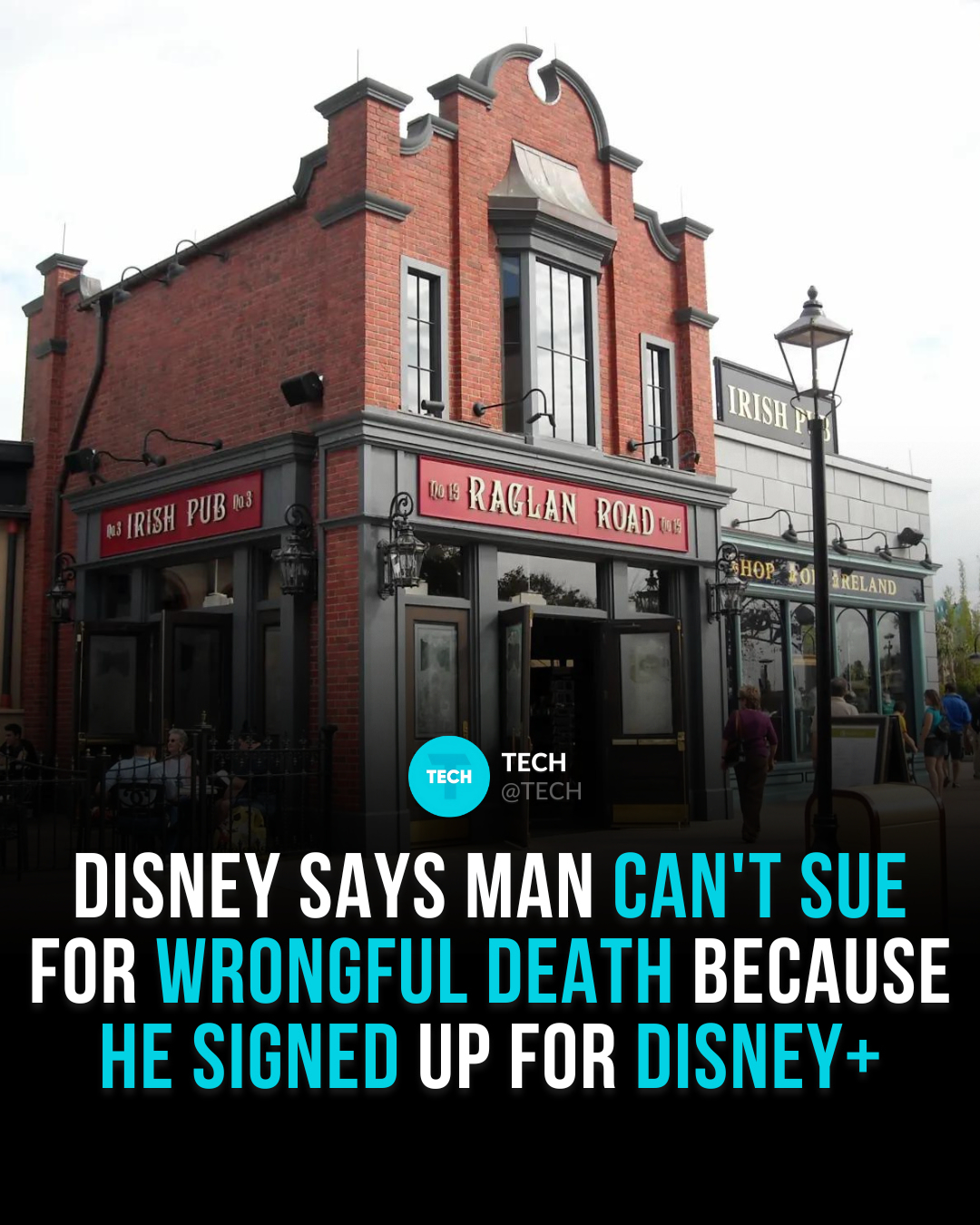 Kritik Tajam Terhadap Disney Usai Mengajukan Permohonan Penghentian Kasus Kematian
